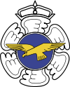 Finnish Air Force